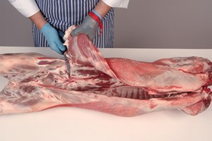 Meat Cut Spec Step 1